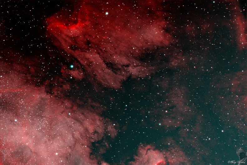 Pelican_Nebula.jpg
