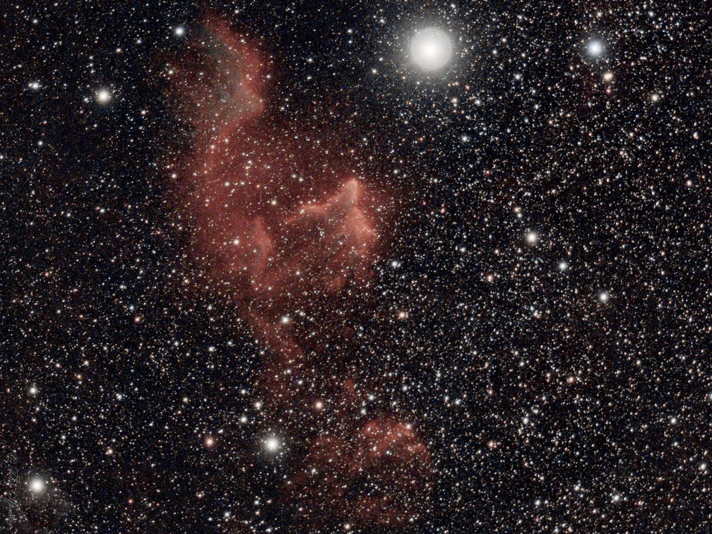 IC63 Ghost C1